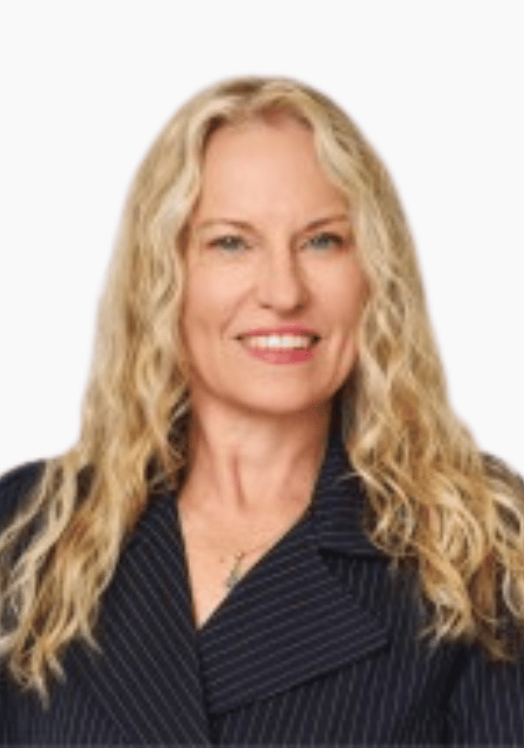 Partner & Chief Executive Officer - Scherer Design Group